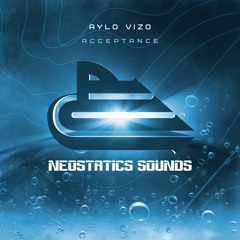NS991 : AYLO VIZO - Acceptance [29/06/2021]
