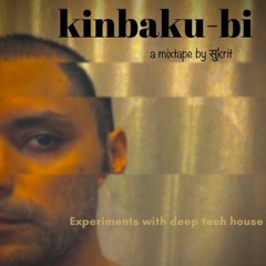 Kinbaku - Bi - Experiments with Deep Tech House - A mixtape by Sukrit