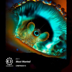 EV - 1 - Most Wanted (CRBFREE015)