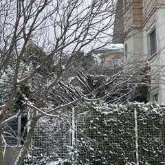 gecigránát techno (fluor leak) (happy gránát)