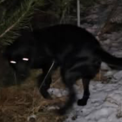 just the two of us - jane og johnny