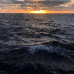 Out Of The Blue