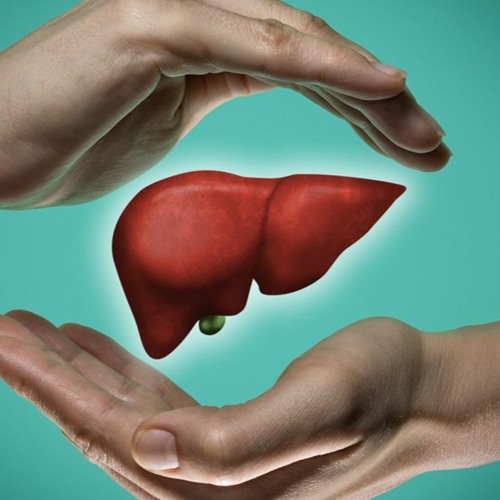 Liver Support Frequency | Improve Liver Functioning & Increase Detox Efficiency