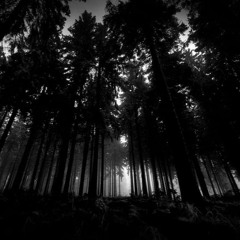 The Ring x Luigi's Mansion