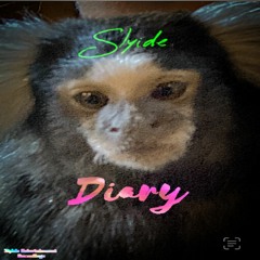 Slyide - Diary