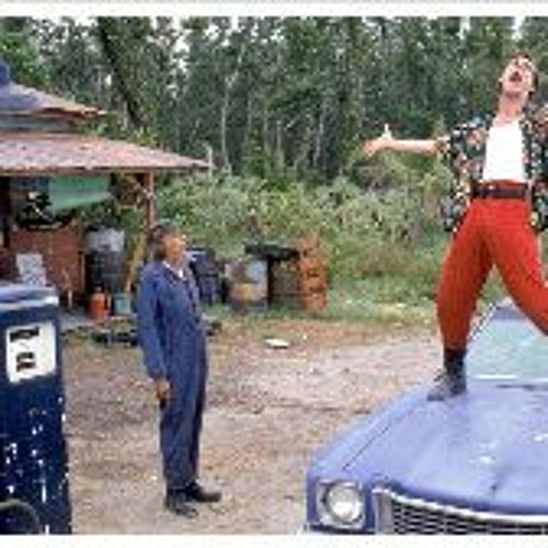 Ace ventura pet detective online sales
