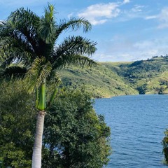 𝓗𝓞𝓛𝓘𝓓𝓐𝓨𝓢 𝓘𝓝 𝓓𝓐𝓡𝓘𝓔𝓝…