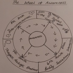 Wheel Of Awareness