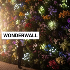 WUNDERWAND [Wonderwall]