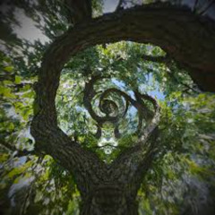 Deep Woods 68 Organic Progressive House Mix: Peter Makto, GMJ, Matter, Maz, Jeremy Olander, EMPHI