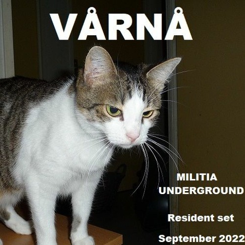 VÅRNÅ - Militia Underground Resident Set - 24.09.2022