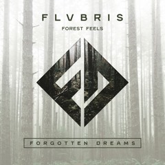 FLVBRIS - Forest Feels