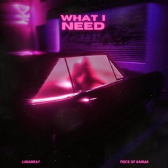 What I Need ft. Piece Of Karma