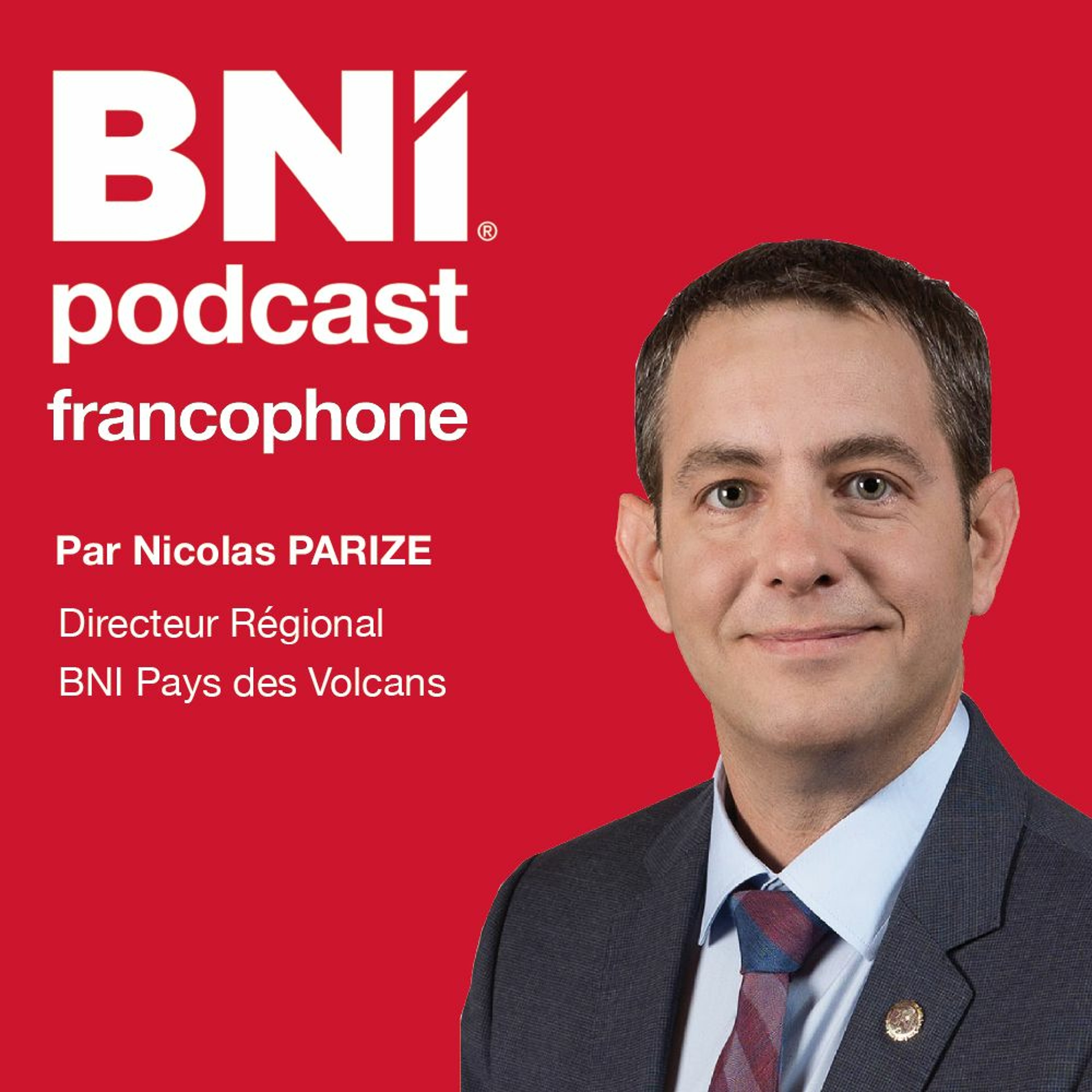 338 Les Rapports Des Comités, Le Moment De Passer À L Action PODCAST N.PARIZE episode artwork