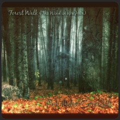 Forest Walk (The Wind In Her Hair)