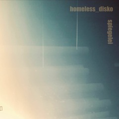Homeless Disko _ Spiegelei