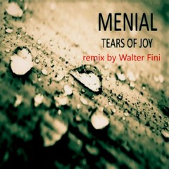 Tears of Joy  Remix