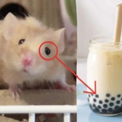 burberry print in my ballsack