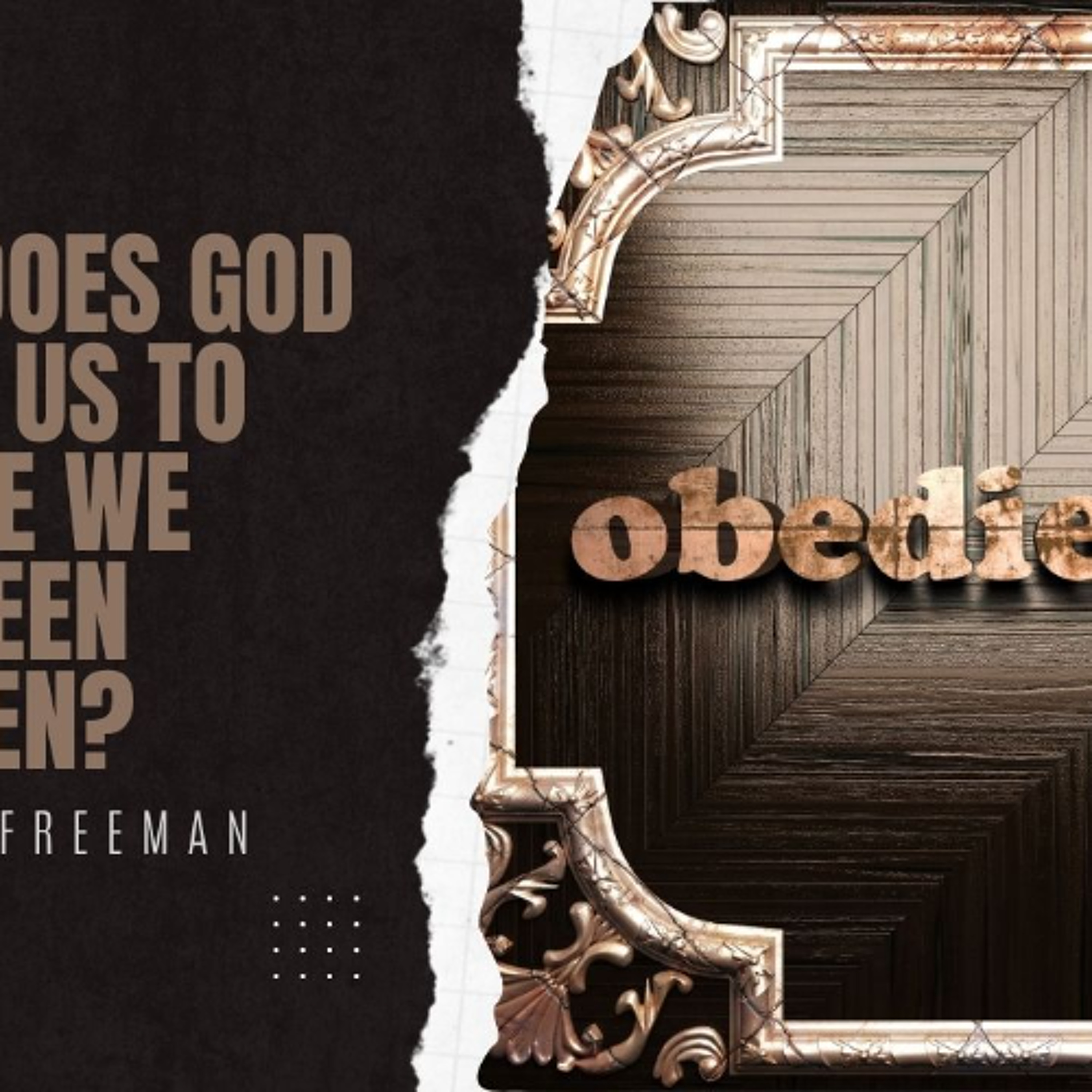 Is That Really In The Bible? 6-What does God expect us to do once we have been forgiven? By David Freeman episode artwork