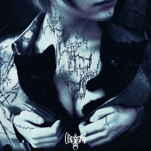 alles the dolly ft shady & rambo (prod.ariaty)