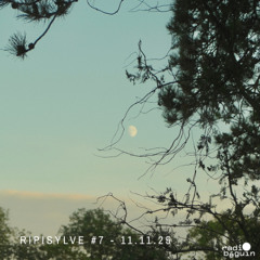 RIPISYLVE #7 w/ Small Water Bodies