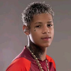 Boladin 211 -Escutando a Braba (Prod. Dj Neeh)