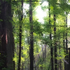 Ripsquad X Oscar100 (2017) Unreleased