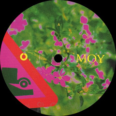 MOY ─ Outburst [OFFEN030]
