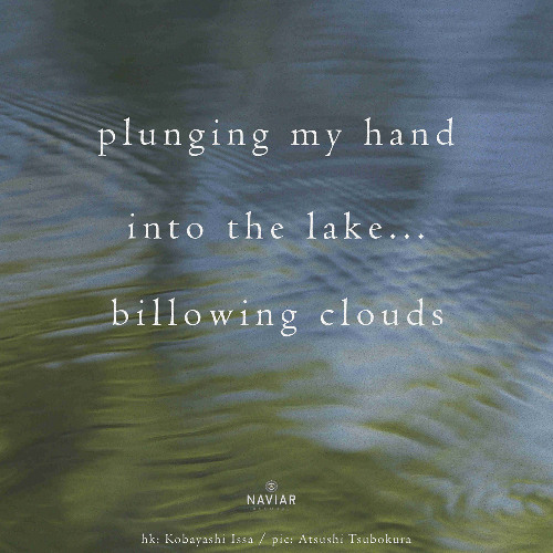 plunging my hand  into the lake..(Naviarhaiku 581)