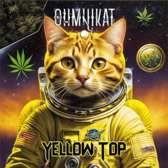 Yellow Top (420 Followers Free Download)