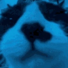 what key is this song in again