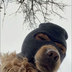 NOT MY TWIN