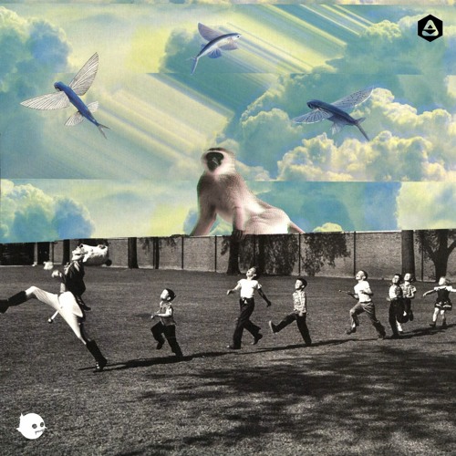premiere: Cesare vs Disorder - South East [Serialism Records]