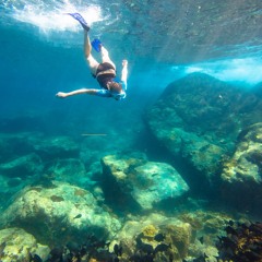 Free Dive Guam
