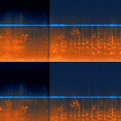 Microphone Tests and Comparisons
