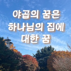 야곱의 꿈은 하나님의 집에 대한 꿈