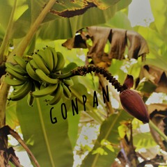 GONPAN - LA LECHOSA OFICIAL