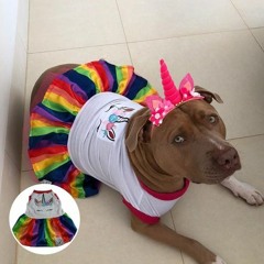 Pagodão do Pitbull (Especial 10 Inscritos)