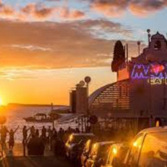 Ibizan Nights