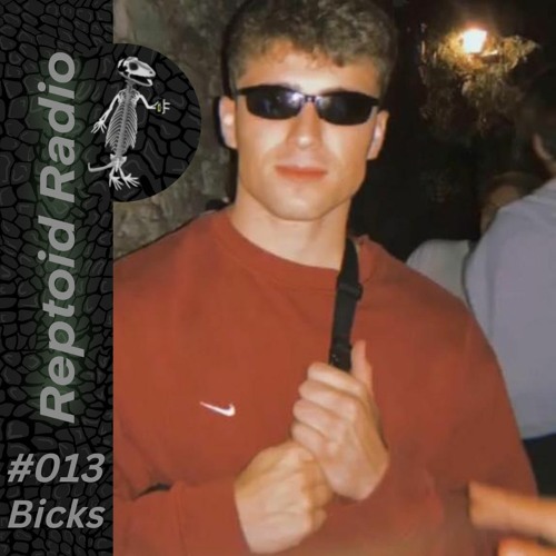 Reptoid Radio 013 // Bicks