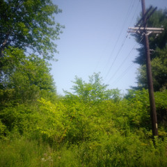 Who is Resolution? (inst. ver.)