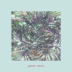 Goose Down - Medicine Melt