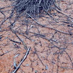 Music for Video "Trace"