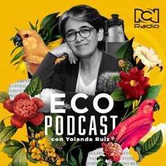 Alrededor de Iberoamérica en EcoPodcast Yolanda Ruiz