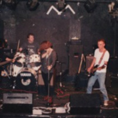 The Presss Darlings- HATE