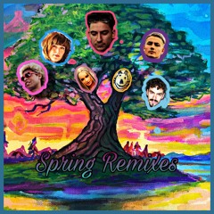 Spring Remixes (Soffie, Crack Ignaz, DonDon & Rrotzer, Yung Hurn, Kim Petras)