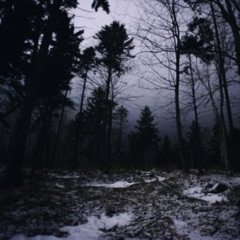##nature prod 2much4you