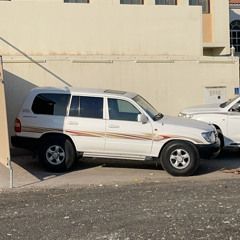 عبرت الشط على مودك