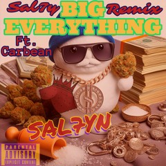 BIG EVERTHING (SAL7Y REMIX)
