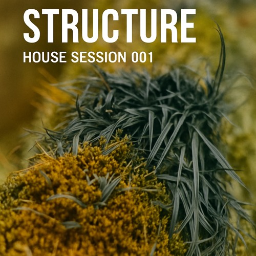 Structure House Session #001
